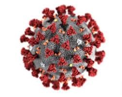 COVID-19 (Coronavirus) – Update